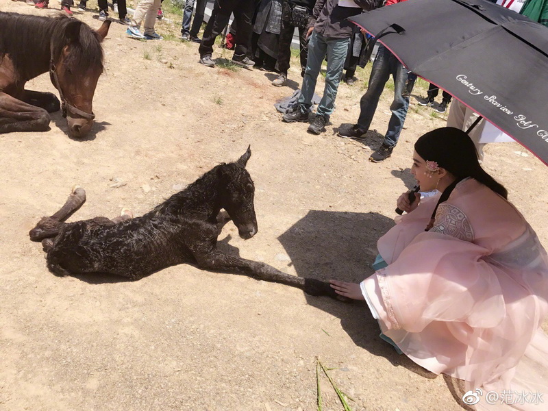 蹲坐一旁,认真看小马出生,不忘合影,还要鼓励般的摸一摸马宝宝.